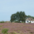 DSC_8936.jpg